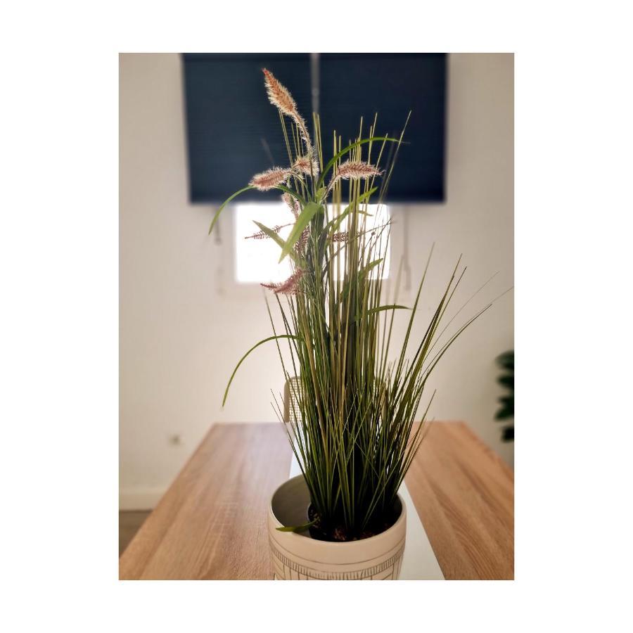 Apartamento Con Sol De Paz ตอร์เรโมลิโนส ภายนอก รูปภาพ